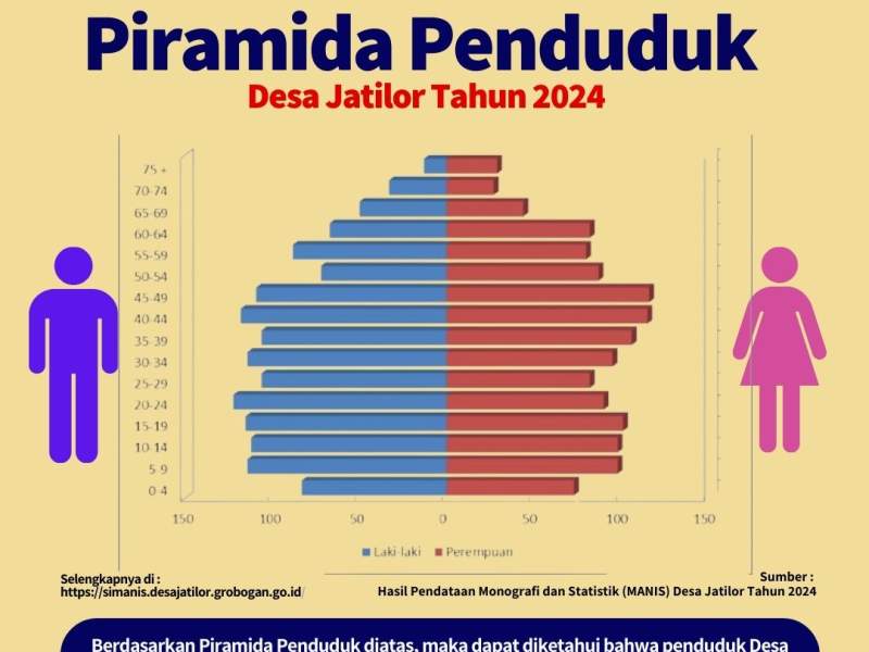 Piramida  Penduduk Desa Jatilor Tahun 2024